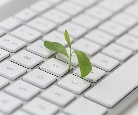 Ekologie keyboard-with-small-plant